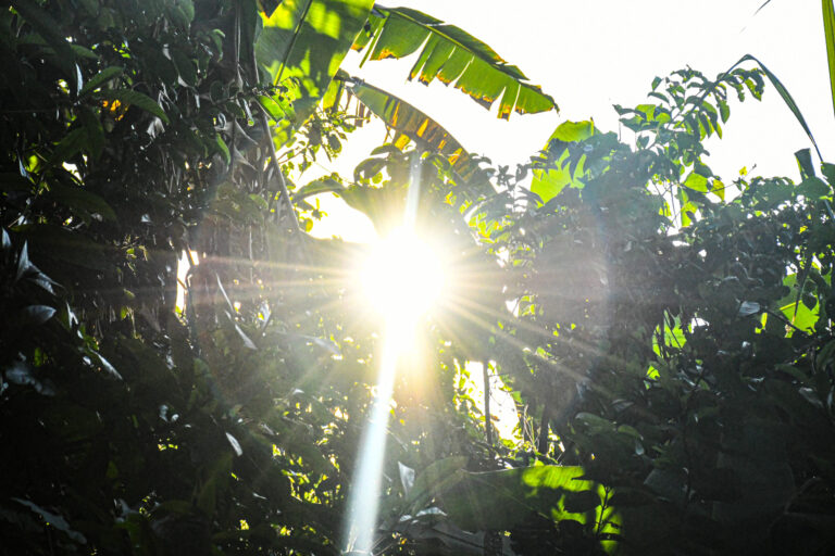 Conselho Nacional dos Direitos Humanos e Defensorias Públicas recomendam ao Estado Brasileiro ratificação para o Acordo de Escazú    