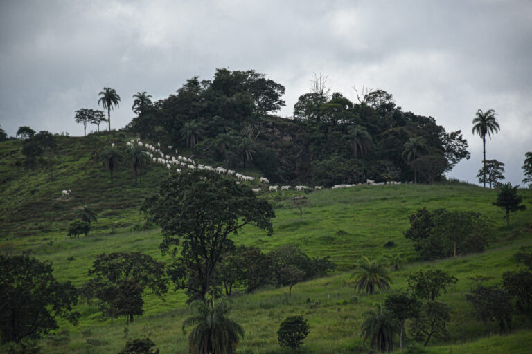 Desenvolvimento, preservação e salvaguarda: a proteção do Patrimônio Cultural nos processos de licenciamento ambiental