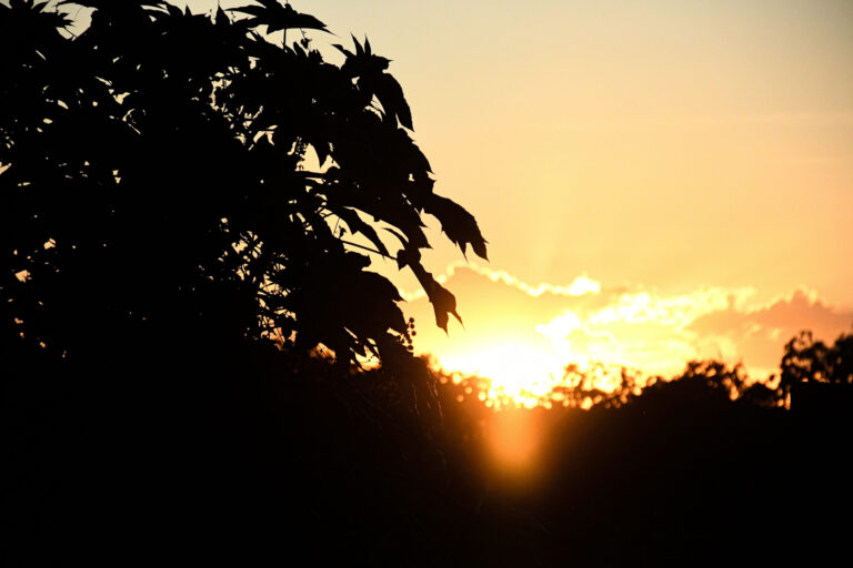 Aedas divulga informes sobre auditoria dos estudos socioambientais feitos pela AECOM no mês de maio