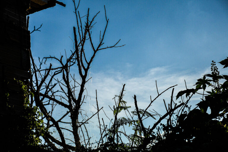 Aedas divulga informes sobre auditoria dos estudos socioambientais feitos pela AECOM no mês de agosto