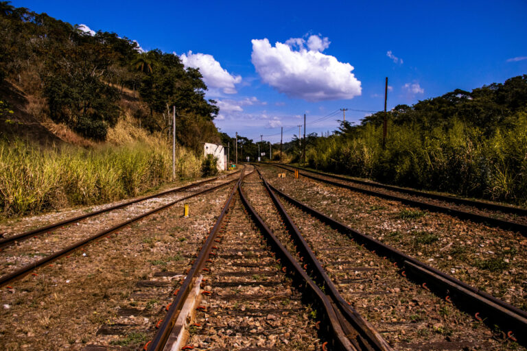 “Queremos o Trem de Volta”: Movimento em Minas Gerais pressiona pela retomada do Transporte Ferroviário de Passageiros 