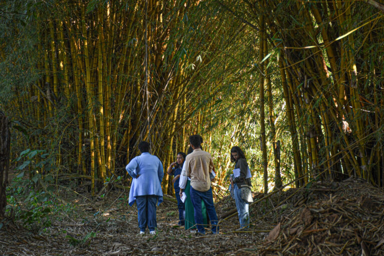 Vale S.A faz depósito para as atividades do Processo e quer limitar a atuação das ATIs à reparação do Acordo