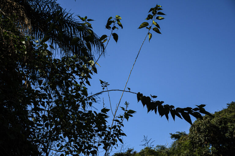 Aedas divulga informes sobre auditoria dos estudos socioambientais feitos pela AECOM no mês de fevereiro de 2025