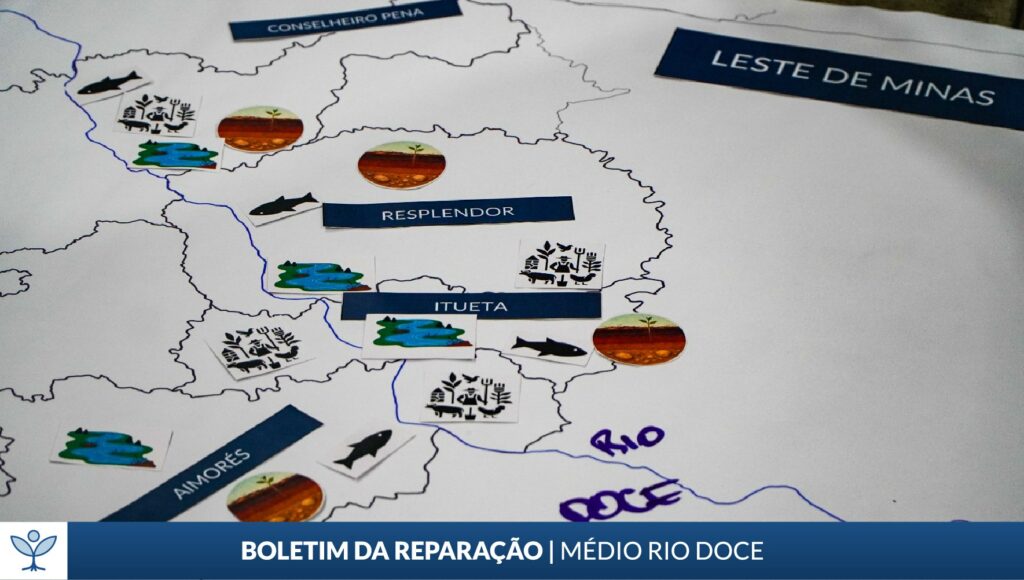 Registro Geral da Atividade Pesqueira (RGP): confira informações sobre suspensão de registros e saiba como recorrer