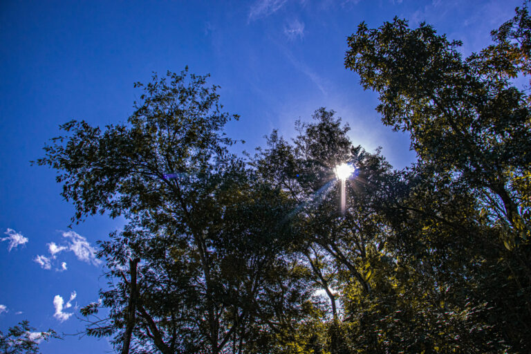 Aedas divulga informes sobre auditoria dos estudos socioambientais feitos pela AECOM no mês de outubro de 2025