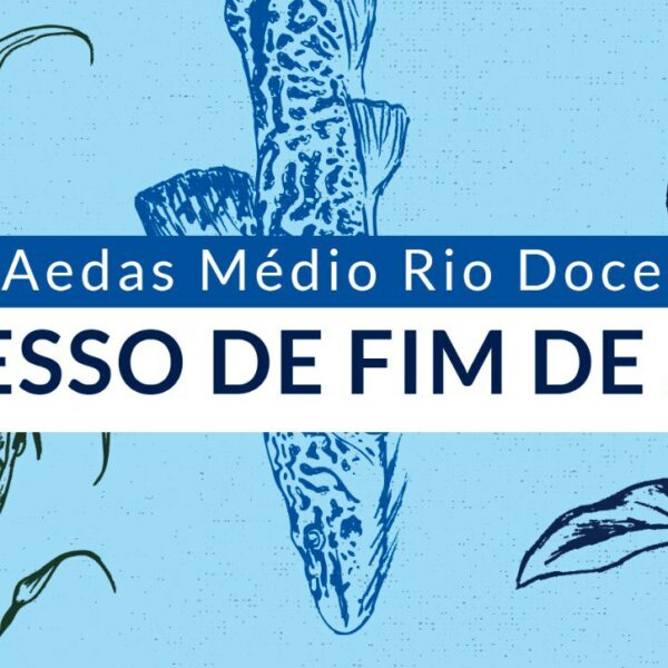 AEDAS MÉDIO RIO DOCE – RECESSO DE FIM DE ANO 
